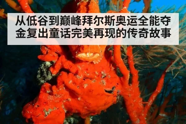 从低谷到巅峰拜尔斯奥运全能夺金复出童话完美再现的传奇故事