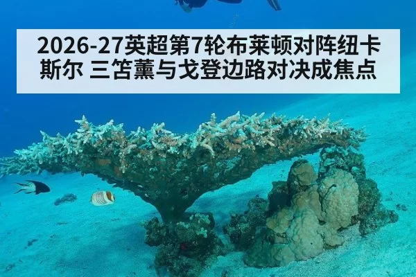2026-27英超第7轮布莱顿对阵纽卡斯尔 三笘薰与戈登边路对决成焦点